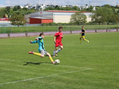fotka galerie