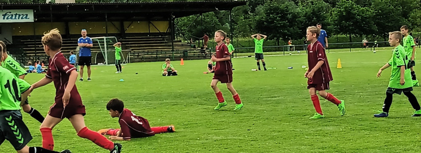 Starší přípravka : Napajedla - SK Louky - FOTOGALERIE